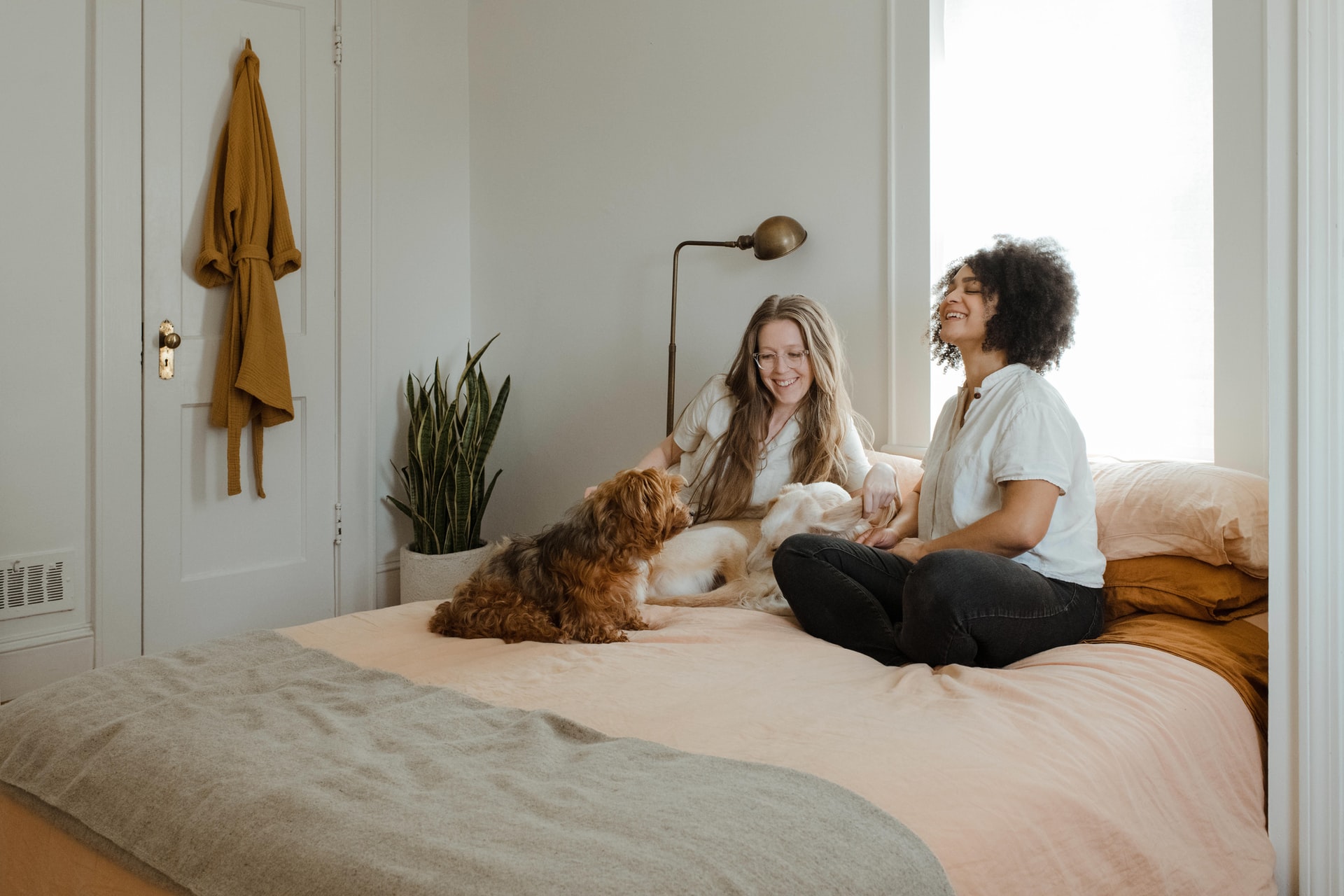 Animais de estimação em casa