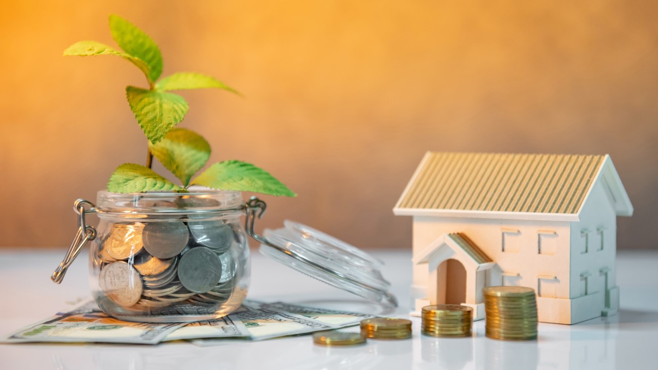 3 Dicas para tornar a casa mais sustentável e poupar